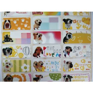 Dogs 3013