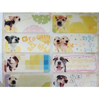Dogs 4618