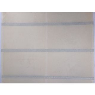 Transparent 4525